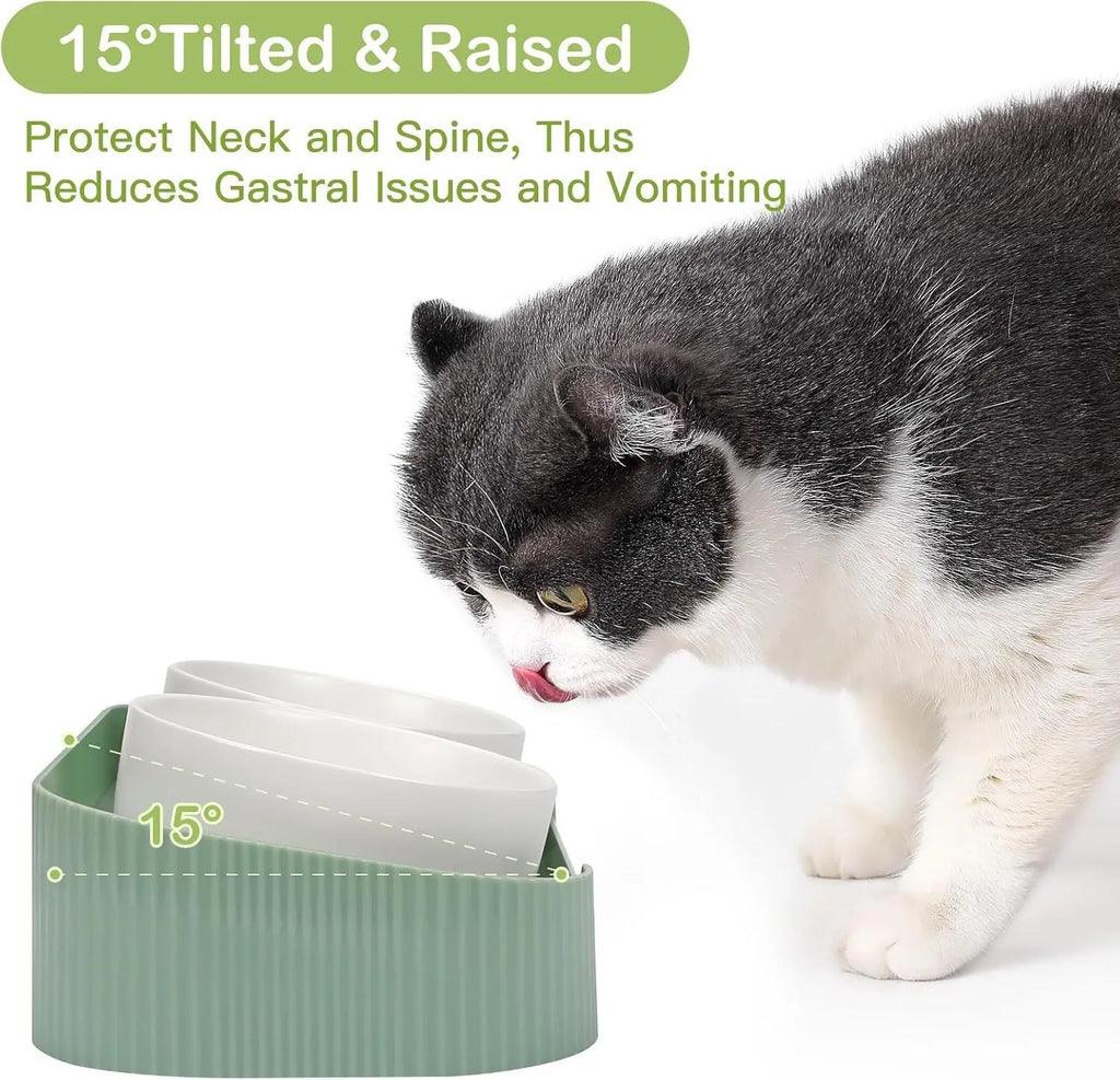 Green ceramic raised cat bowl set with two tilted bowls on a non-slip stand for food and water.
