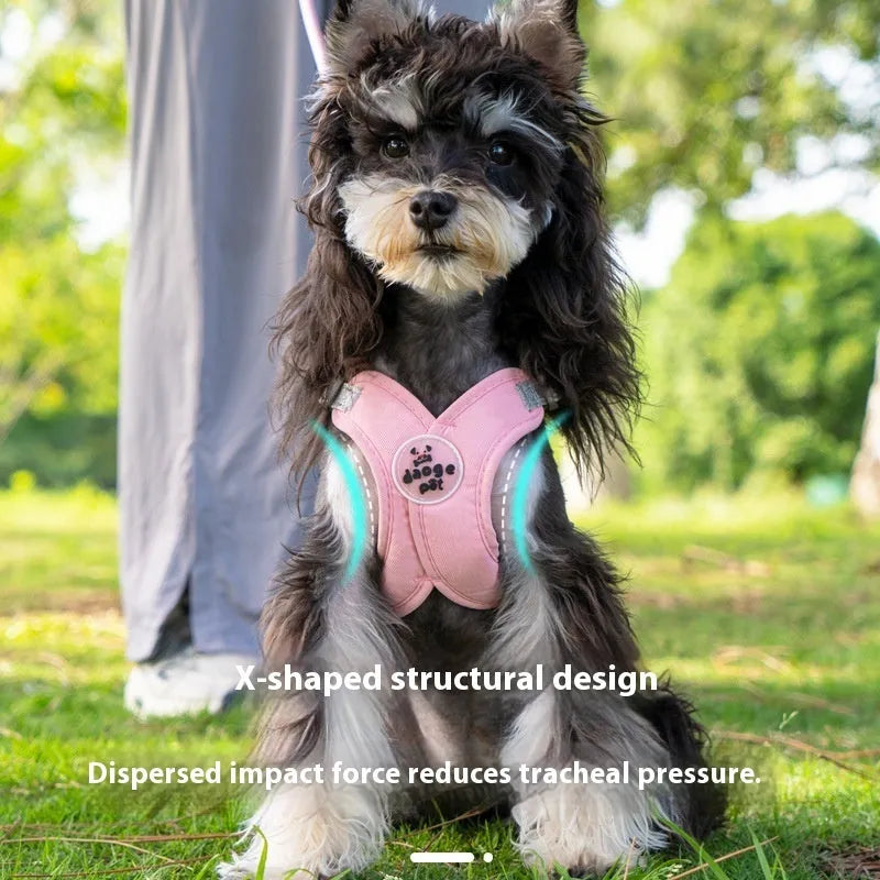 Polyester dog vest with attached hand-holding rope in blue, green, pink or yellow colours