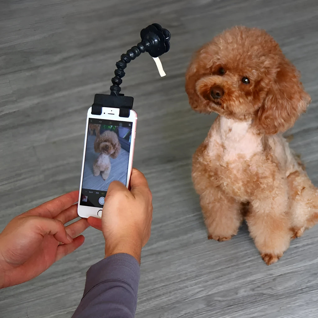 Black and white pet selfie stick with square clip and flower clip for smartphone pet photography.