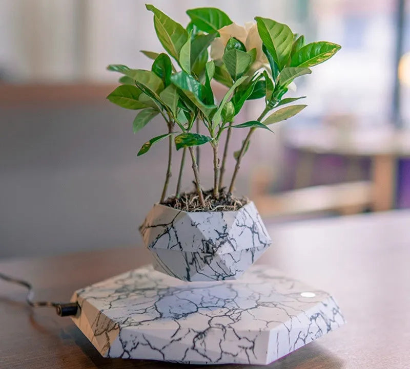 Marble-colour magnetic levitating plant pot floating and rotating a small succulent in mid-air.