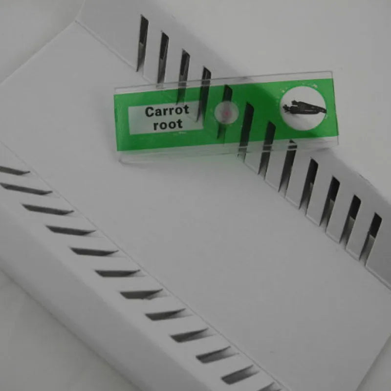 48 plastic microscope slides with biological specimens in red, green, yellow, and blue colour-coded boxes