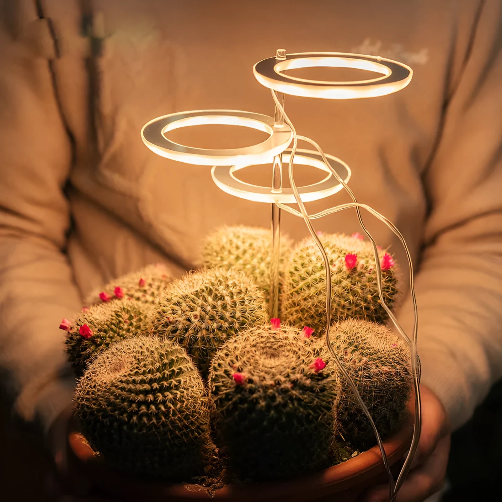 USB LED plant grow light with acrylic stick in pink white or sunshine yellow colour options.