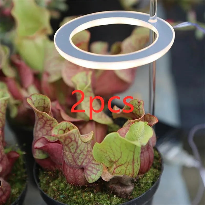 USB LED plant grow light with acrylic stick in pink white or sunshine yellow colour options.