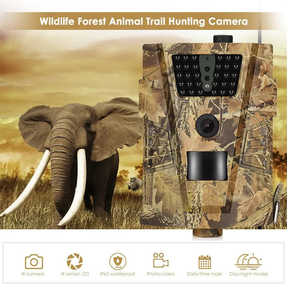 Orchard surveillance camera with compact housing showing lens and IR LEDs for night vision
