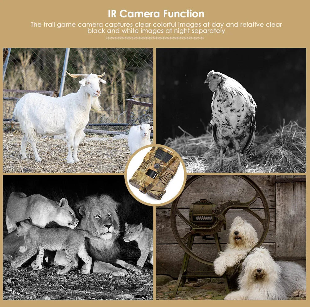 Orchard surveillance camera with compact housing showing lens and IR LEDs for night vision