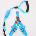 Simple nylon dog leash in four sizes S M L XL for 6-60 kg dogs, seven colours, two-piece or three-piece set