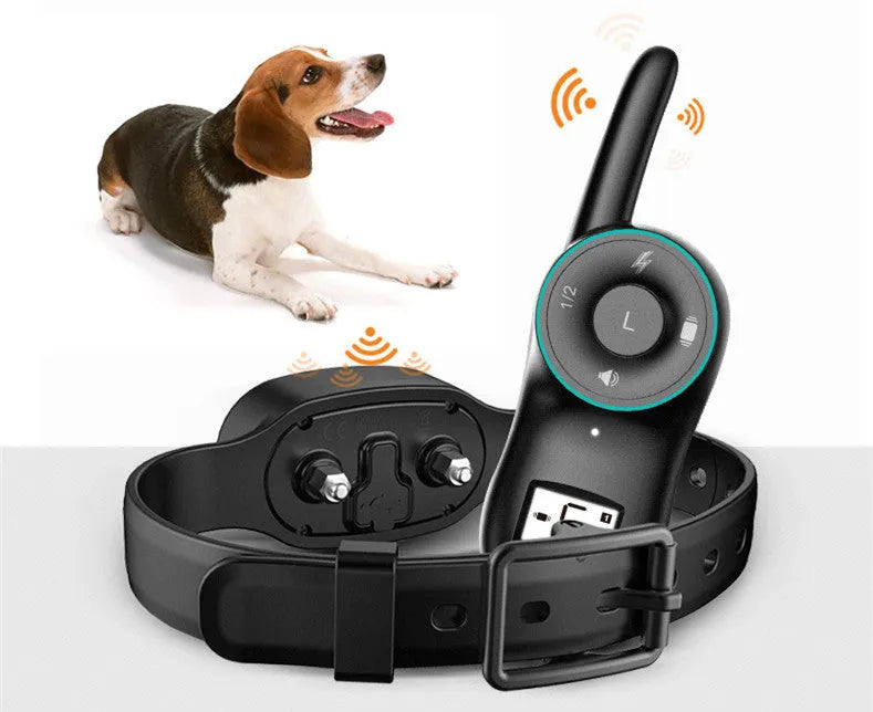 Black remote-controlled dog training collar with receiver unit and adjustable strap for small to medium dogs
