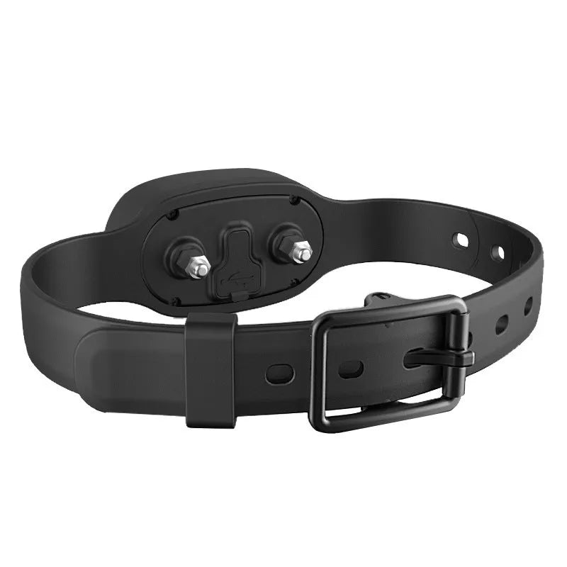Black remote-controlled dog training collar with receiver unit and adjustable strap for small to medium dogs
