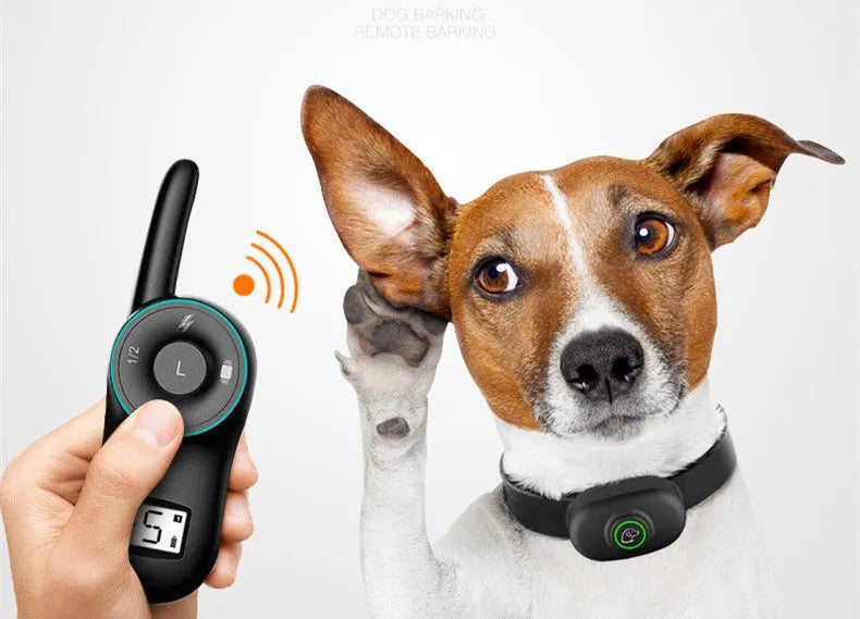 Black remote-controlled dog training collar with receiver unit and adjustable strap for small to medium dogs