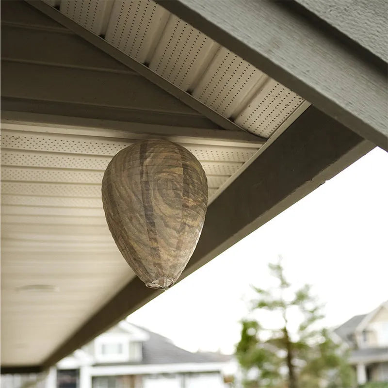 Honeycomb paper lantern in photo colour, 22cm wide by 28cm high