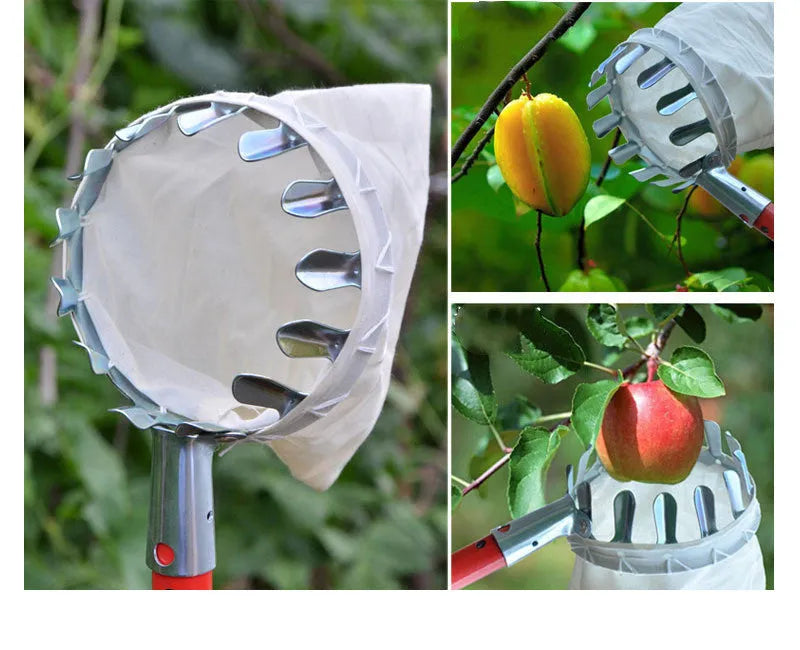 Steel frame fruit picker with cloth catcher bag for garden harvesting of citrus, pears, and peaches