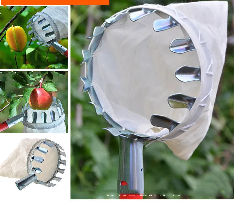 Steel frame fruit picker with cloth catcher bag for garden harvesting of citrus, pears, and peaches