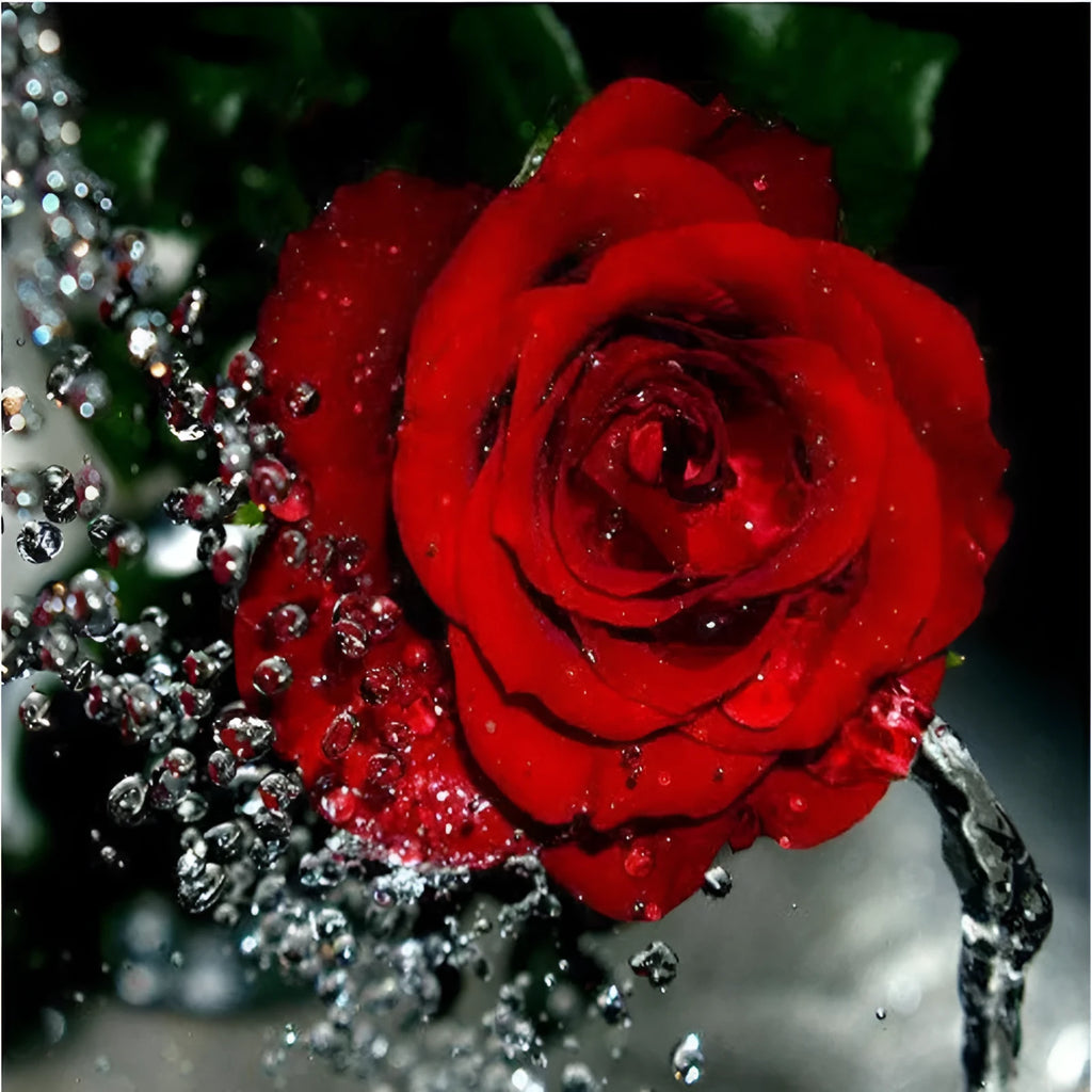Hand-painted red rose oil painting on 40x50cm linen canvas without a frame.