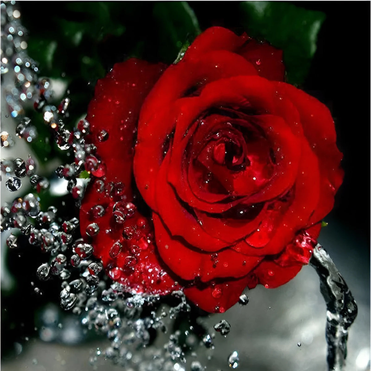 Hand-painted red rose oil painting on 40x50cm linen canvas without a frame.