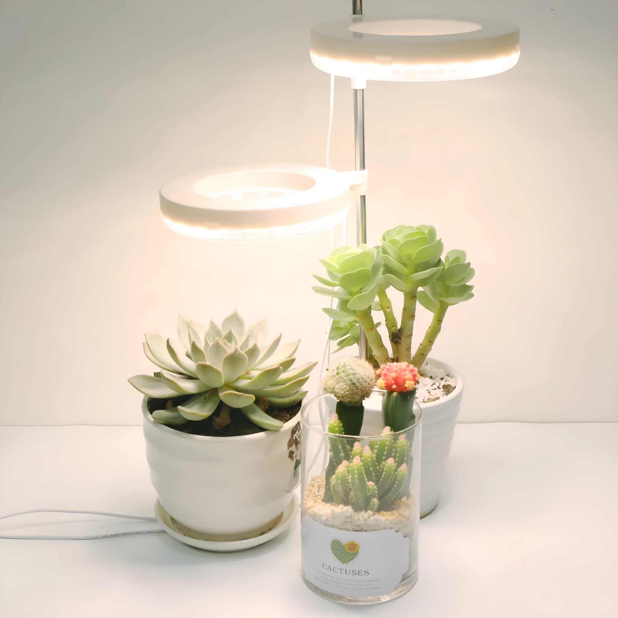 Desk plant growth lamp with full spectrum light for indoor plants
