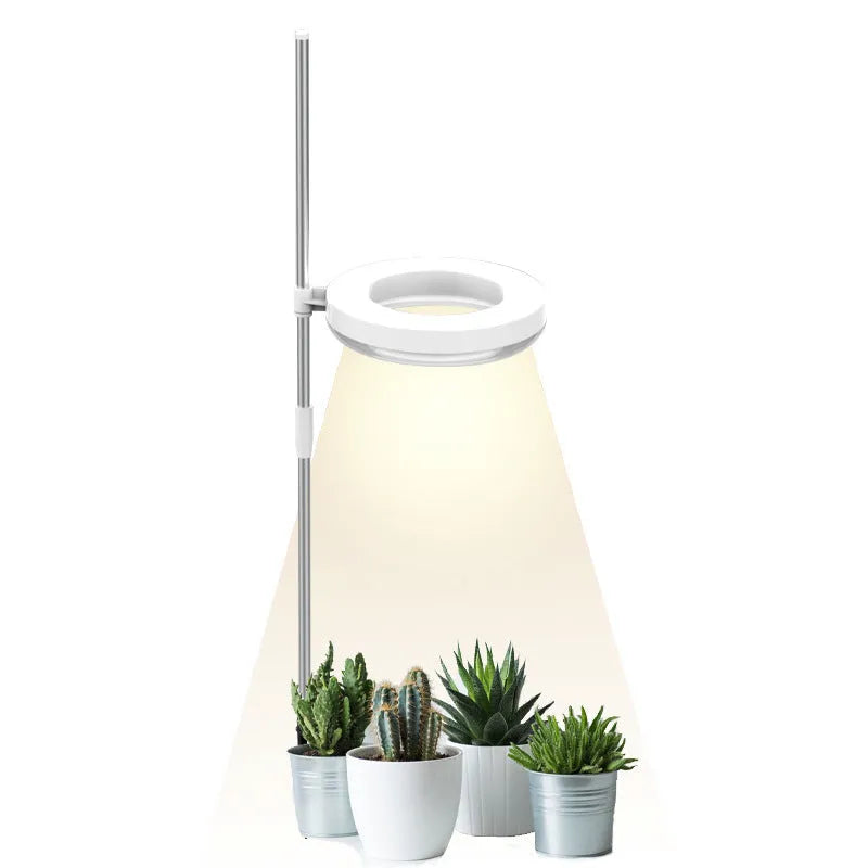 Desk plant growth lamp with full spectrum light for indoor plants