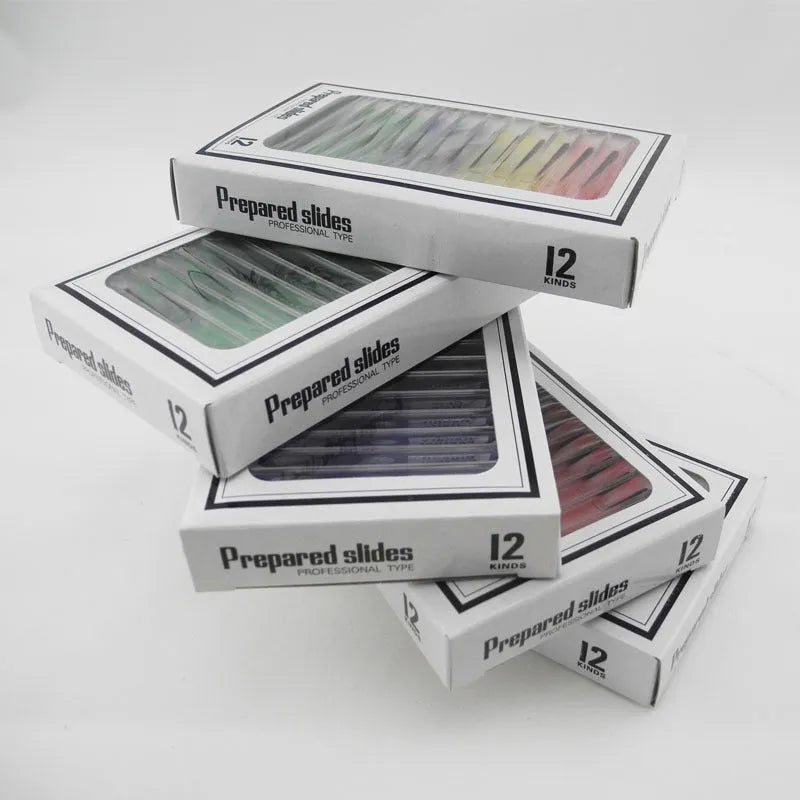 48 plastic microscope slides with biological specimens in red, green, yellow, and blue colour-coded boxes