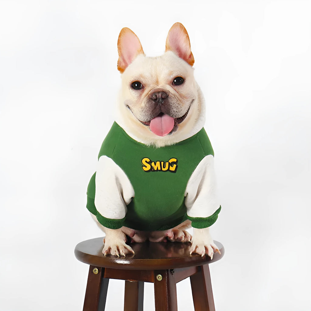 Green cotton dog coat for large breeds in sizes L, XL, 2XL, 3XL, and 4XL.
