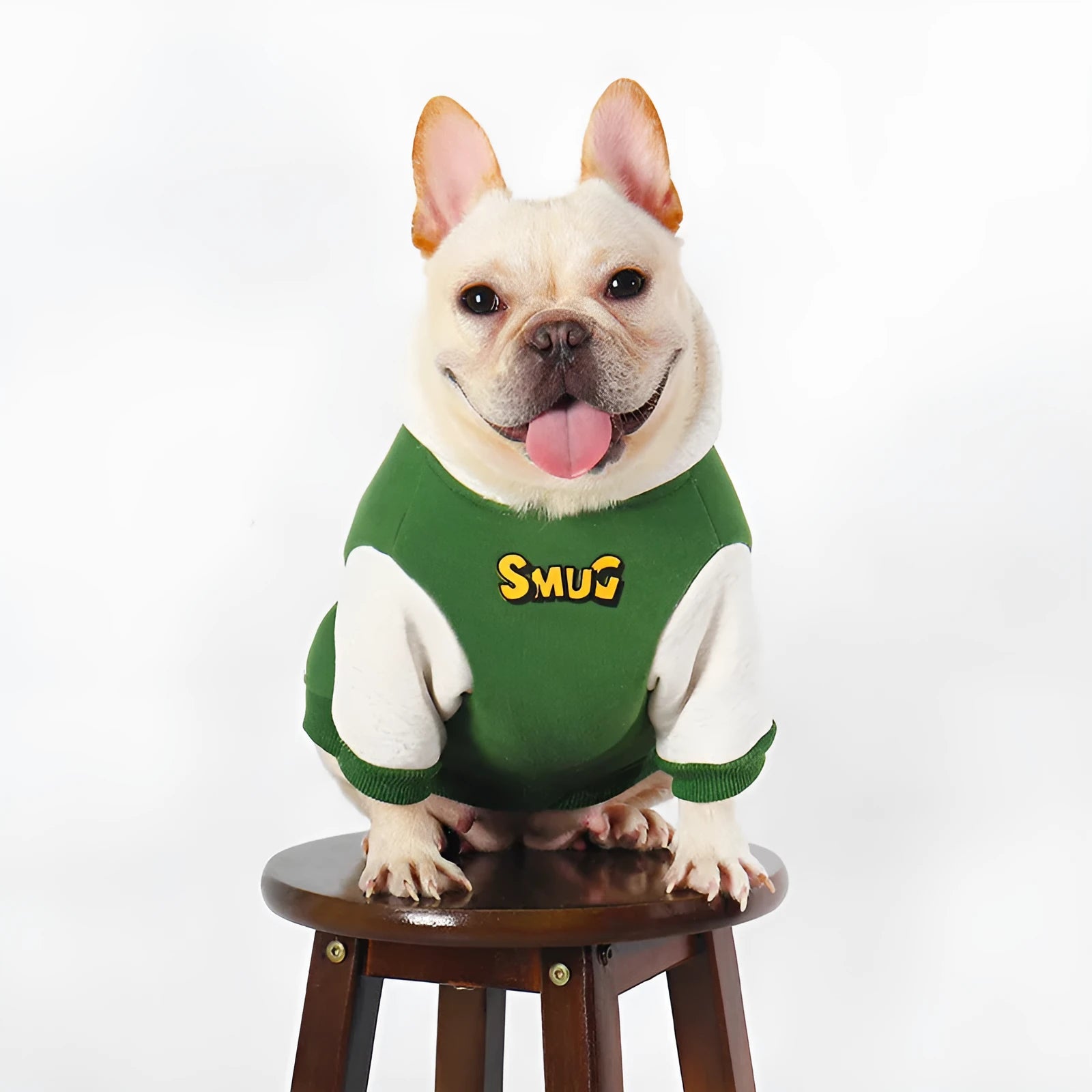 Green cotton dog coat for large breeds in sizes L, XL, 2XL, 3XL, and 4XL.