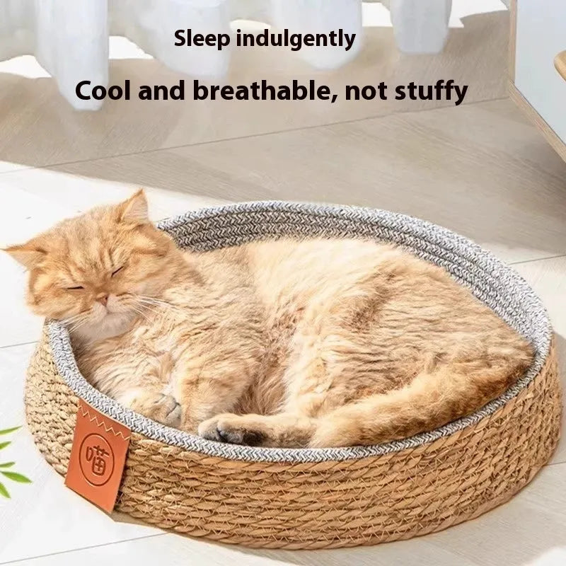 Natural woven rattan cat bed with a soft cushion inside, shown in a neutral home setting.