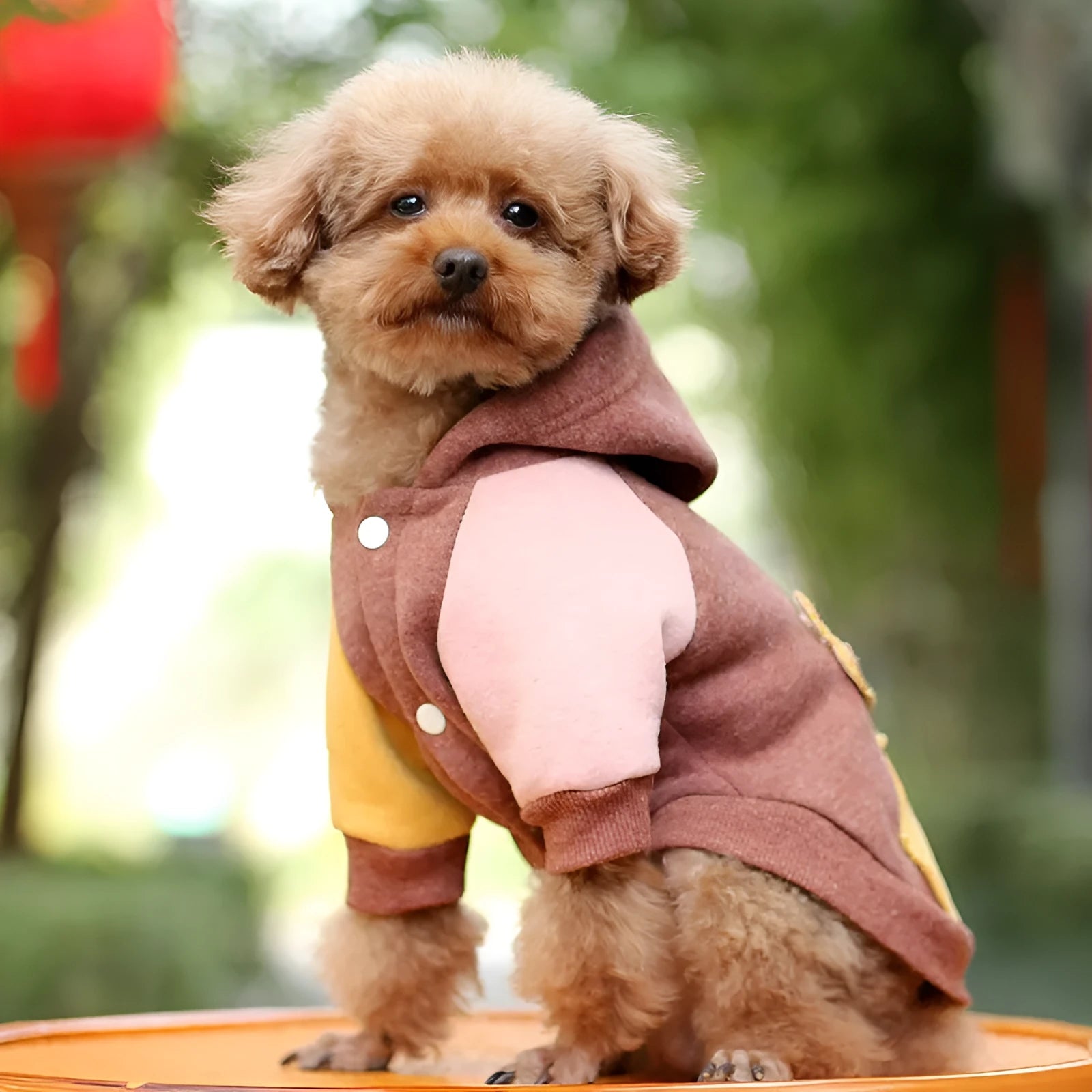 Cotton pet sweatshirt dog clothing in brown, available in sizes XS to 2XL