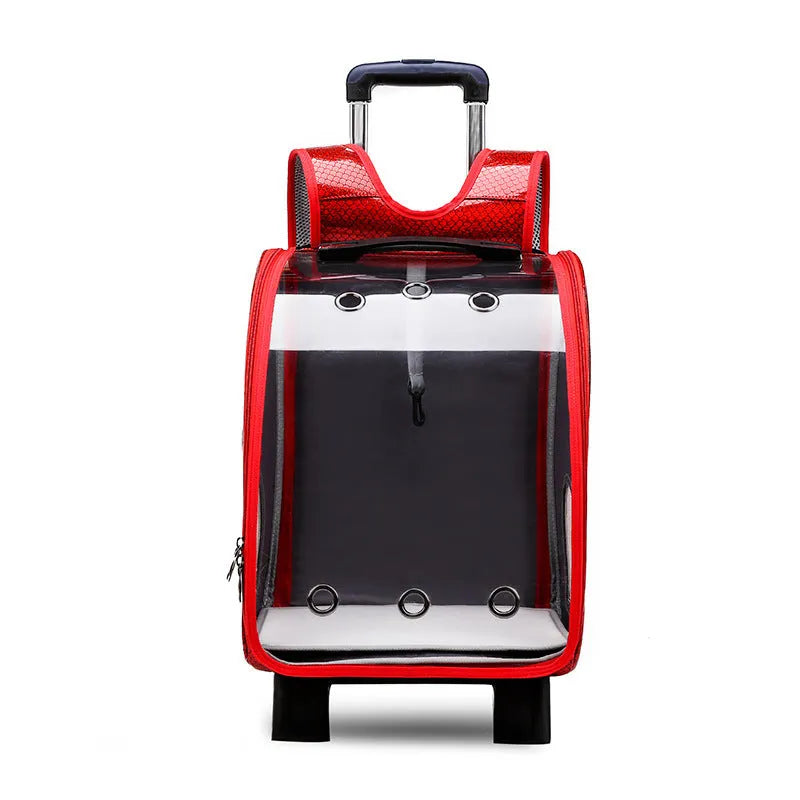 Transparent pet trolley shoulder bag with folding frame for small dogs and cats