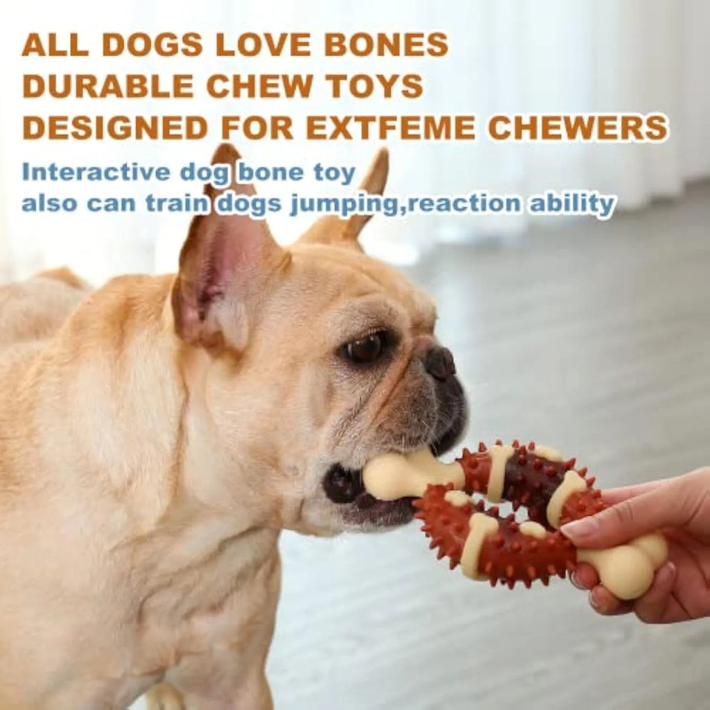 Bone-shaped natural rubber dog dental chew toy for teeth cleaning in large and small sizes.