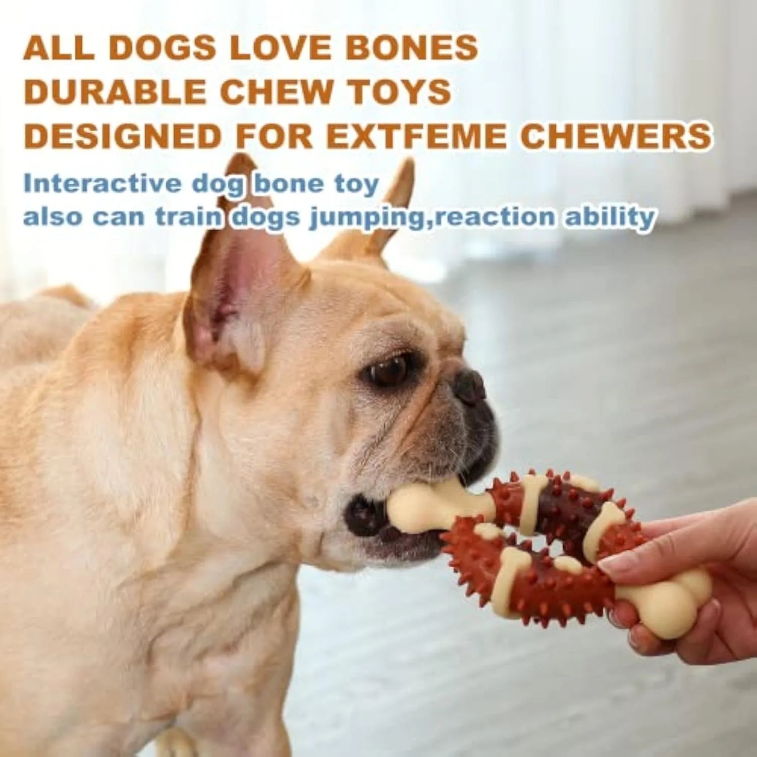 Bone-shaped natural rubber dog dental chew toy for teeth cleaning in large and small sizes.