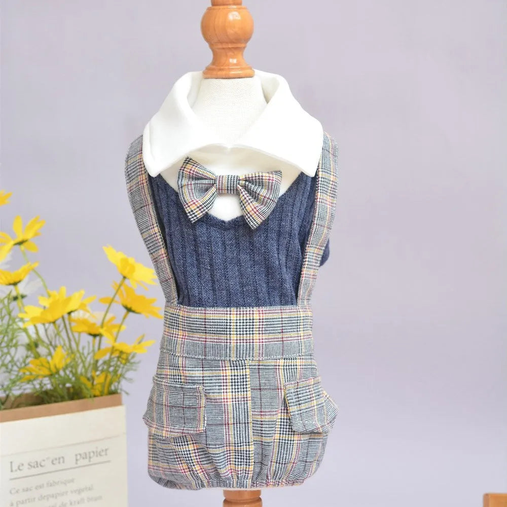 Orange and dark blue cotton dog shirt suit for small dogs on a hanger