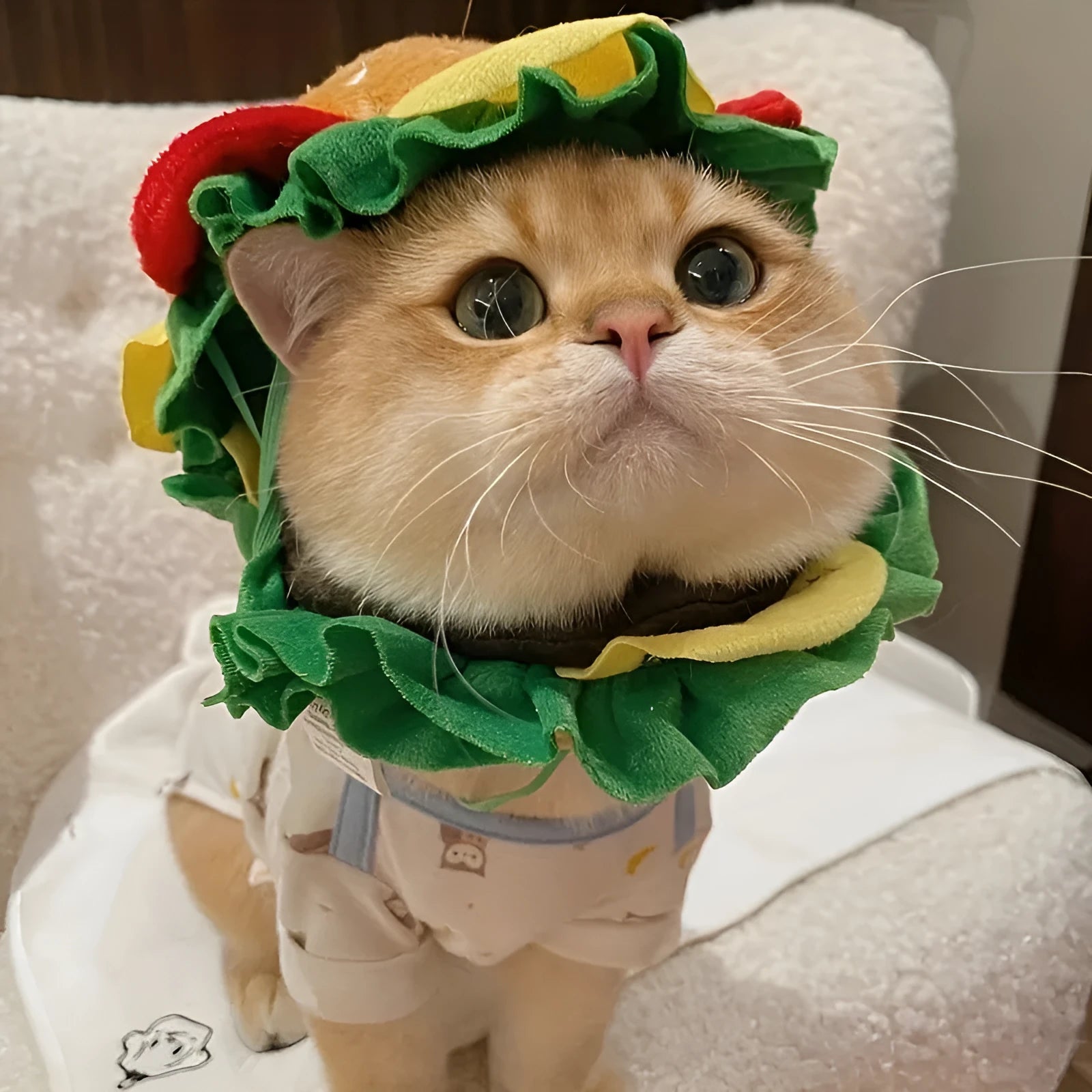 Cat wearing burger headdress collar with green lettuce and red tomato details and adjustable buckle closure