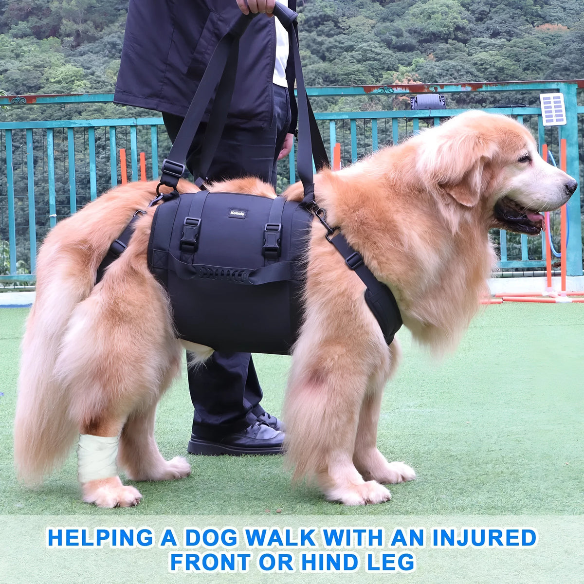 Black adjustable dog harness made from Oxford cloth with a metal D-ring and padded chest strap.