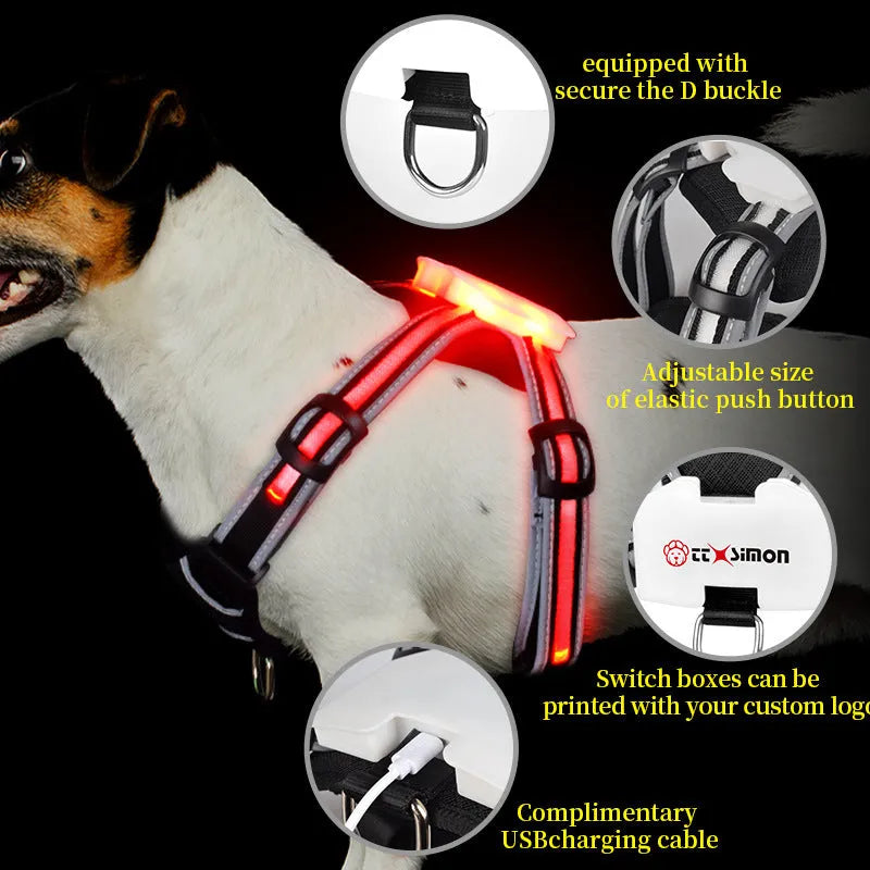 USB rechargeable luminous dog lead with seven colour-changing modes and nylon construction