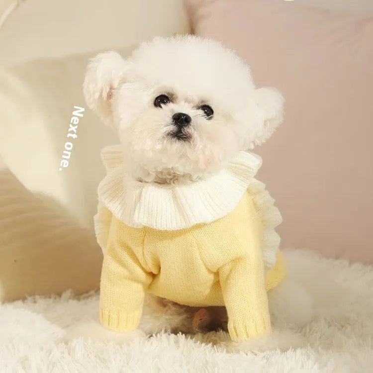 Yellow XINGX design puppy sweater and fairy dress style dog jumper for autumn wear