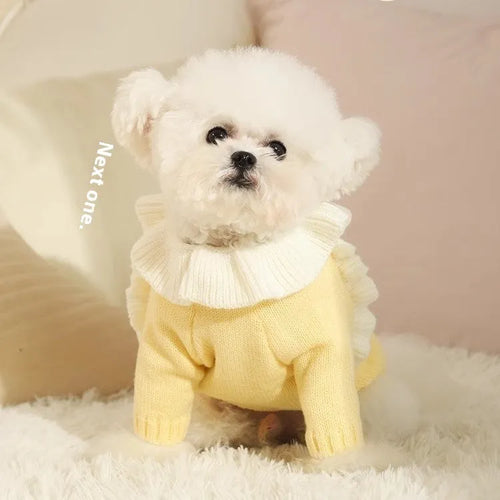 Yellow XINGX design puppy sweater and fairy dress style dog jumper for autumn wear
