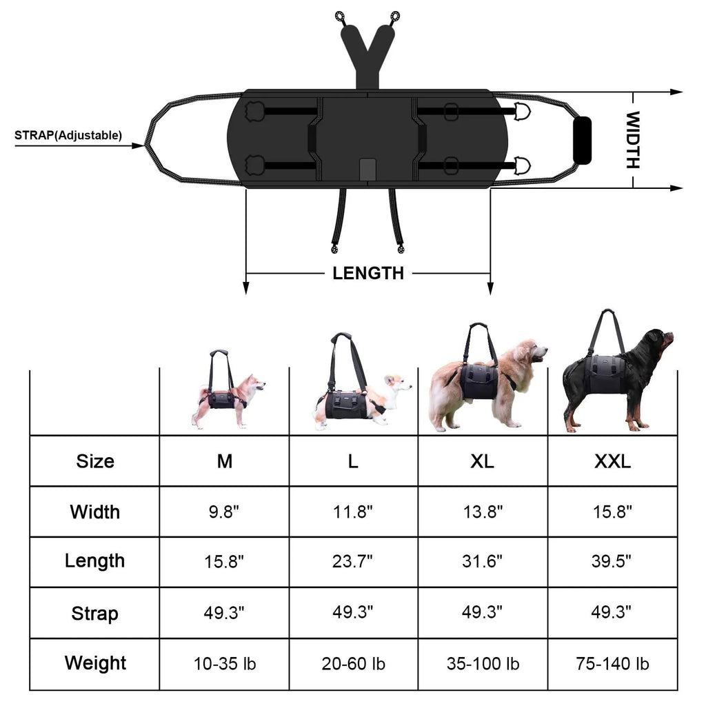 Black adjustable dog harness made from Oxford cloth with a metal D-ring and padded chest strap.