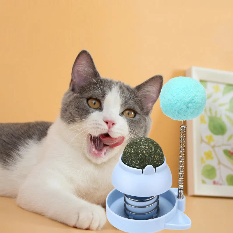 Lucky Cat design mint-flavoured ball cat toy on a stick for interactive play and teeth cleaning.