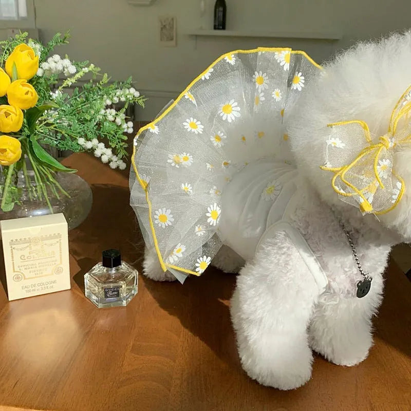 Yellow daisy print dog clothes made from thin polyester fabric for summer wear