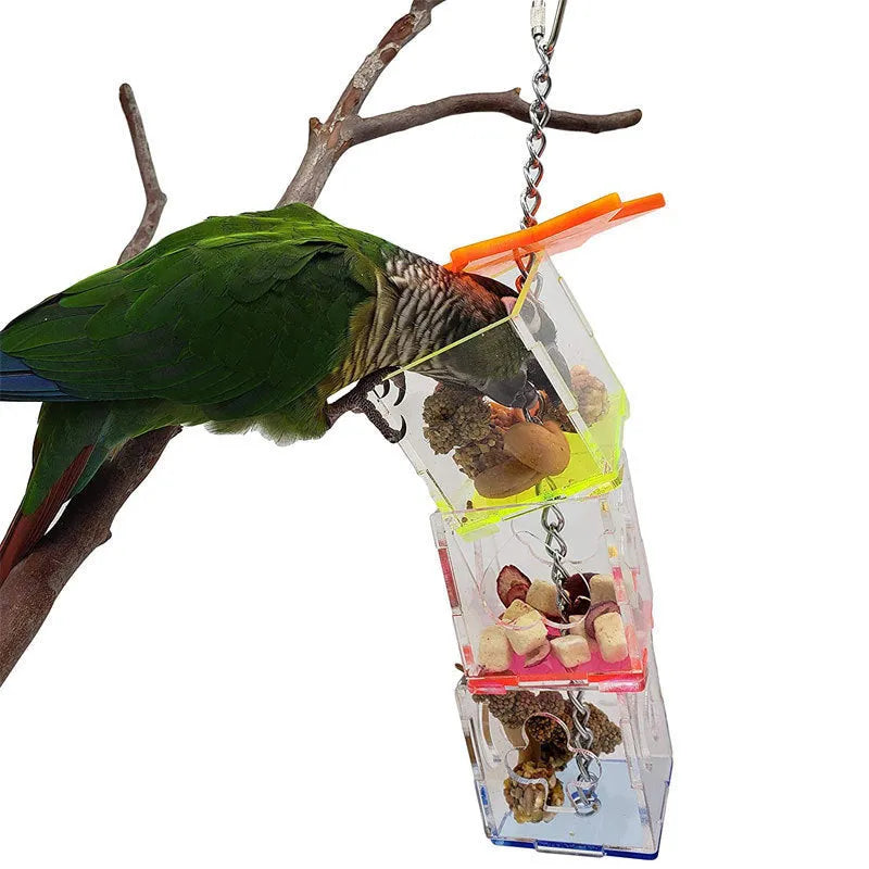 Clear acrylic parrot foraging toy, 32 cm long, for holding bird treats.