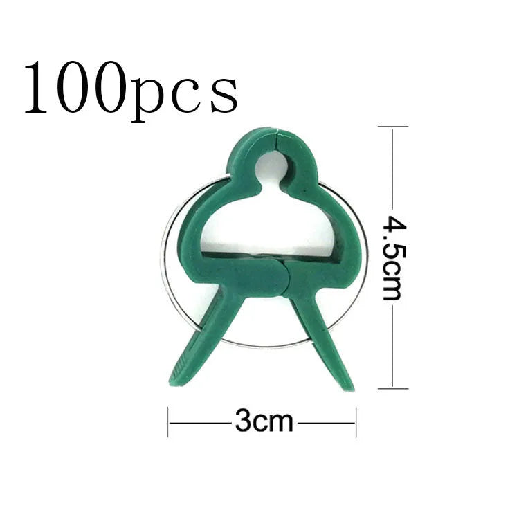 Green plastic and zinc plant fixing clips for supporting climbing tomatoes and beans
