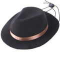 Mini wool felt pet hat for small dogs and cats in S size 155cm diameter