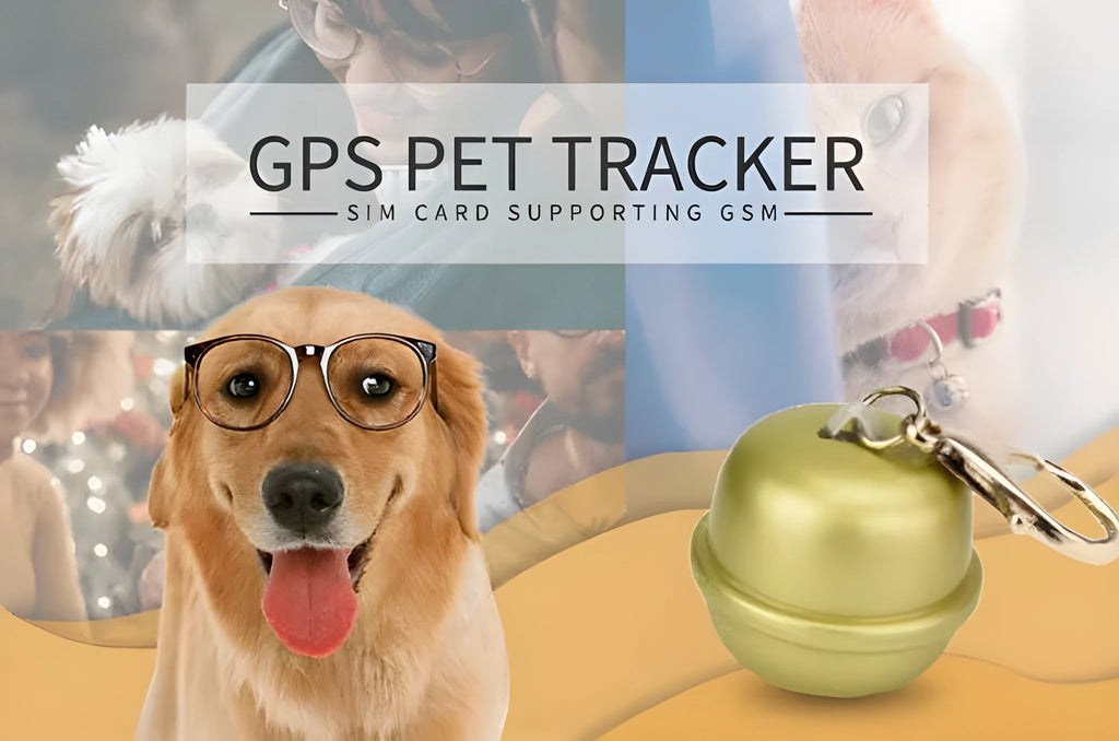 GPS dog collar pet locator in black colour showing adjustable design and mobile app connection