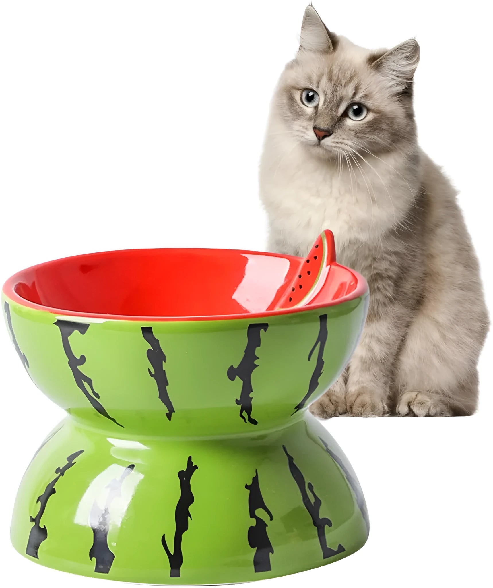 Ceramic raised cat bowl with tilted wide rim design in orange pattern for indoor cats