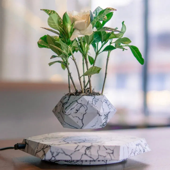 Marble-colour magnetic levitating plant pot floating and rotating a small succulent in mid-air.