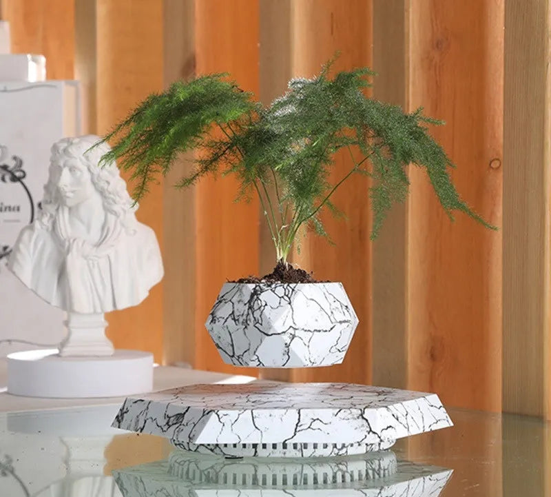 Marble-colour magnetic levitating plant pot floating and rotating a small succulent in mid-air.
