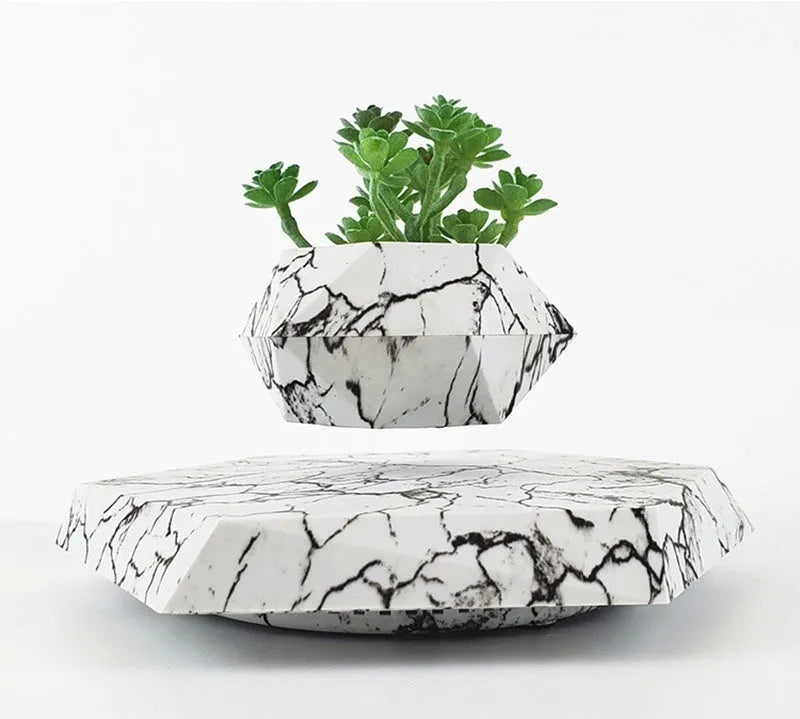 Marble-colour magnetic levitating plant pot floating and rotating a small succulent in mid-air.