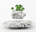 Marble-colour magnetic levitating plant pot floating and rotating a small succulent in mid-air.