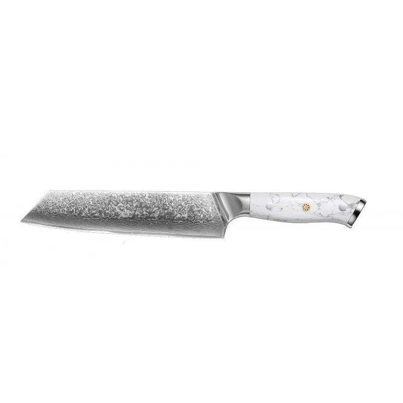 Damascus VG10 combined chef's knife with 21cm blade showing modern simple design