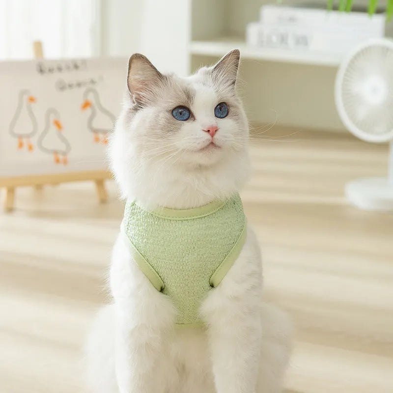 Cat wearing blue bear patch clothing with hollowed-out knitted fabric construction