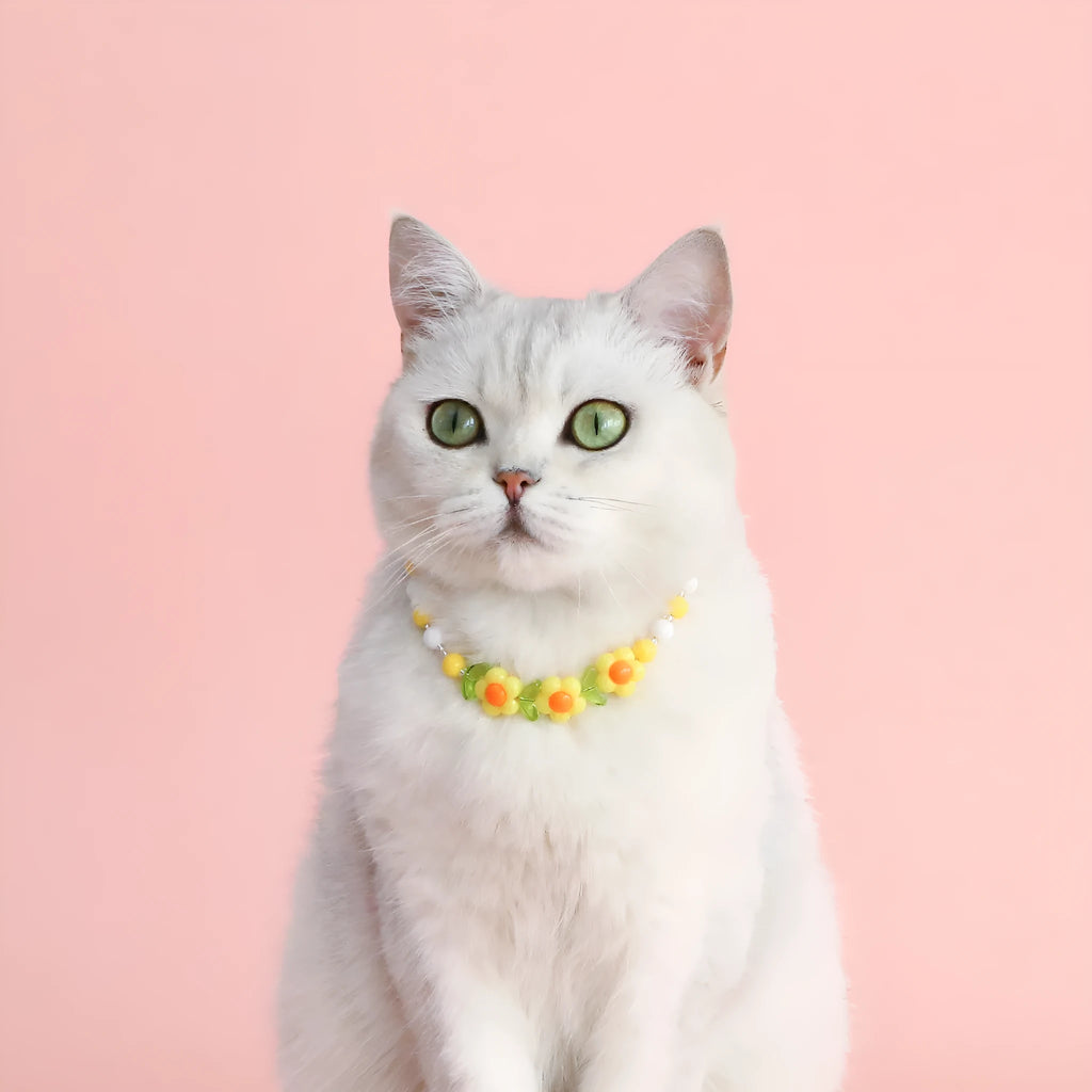 Colourful plastic pearl pet necklace for cats with adjustable sizing in rainbow, peach, and small flower patterns