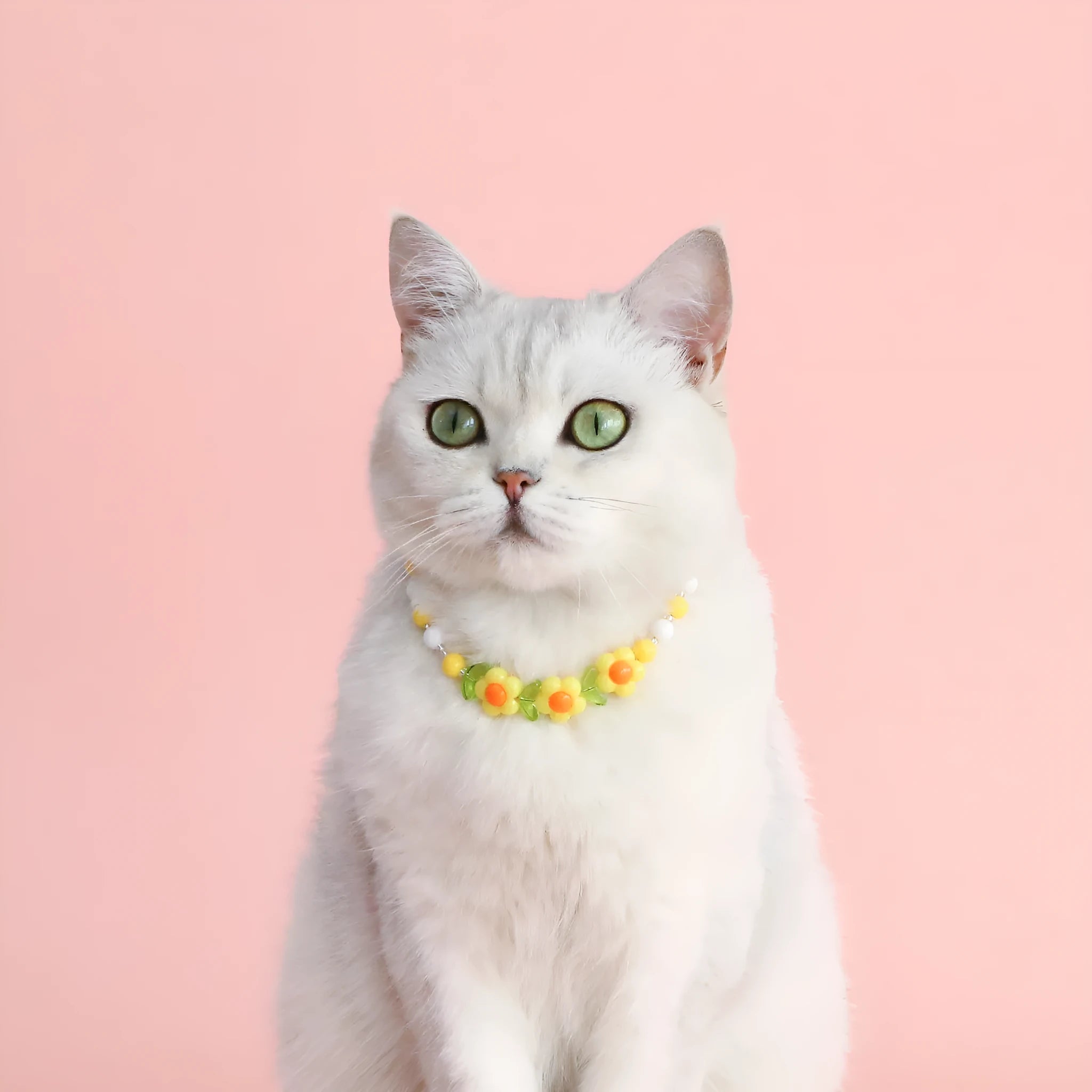 Colourful plastic pearl pet necklace for cats with adjustable sizing in rainbow, peach, and small flower patterns